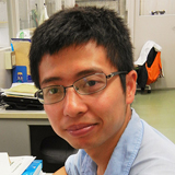 SUN, Xiaohang